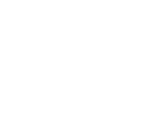 BBB Torch Award for Ethics Finalist