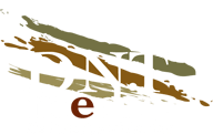 Designed and Built by DNT Media